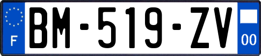 BM-519-ZV