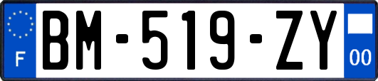 BM-519-ZY