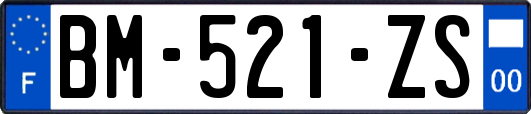 BM-521-ZS