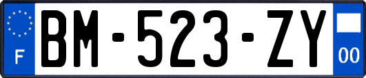 BM-523-ZY