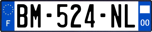 BM-524-NL