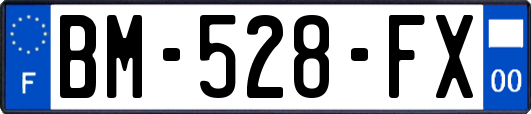 BM-528-FX