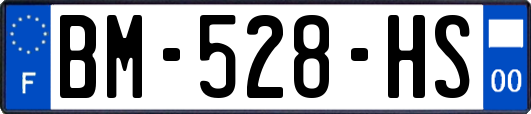 BM-528-HS