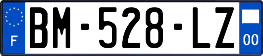 BM-528-LZ