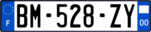 BM-528-ZY