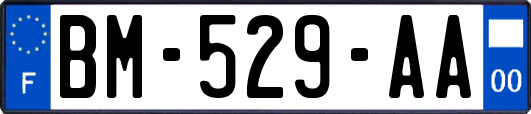 BM-529-AA