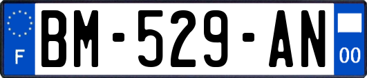 BM-529-AN