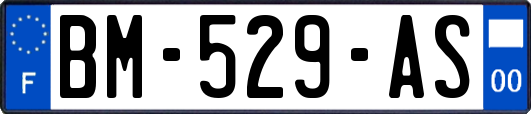 BM-529-AS