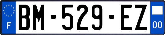 BM-529-EZ