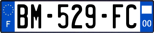 BM-529-FC