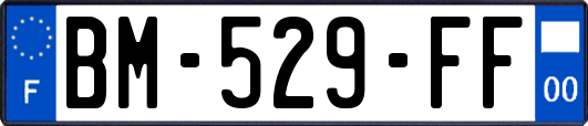 BM-529-FF