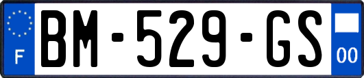 BM-529-GS