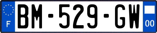 BM-529-GW