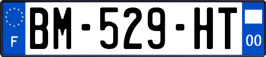 BM-529-HT
