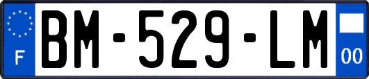 BM-529-LM