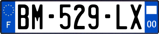 BM-529-LX