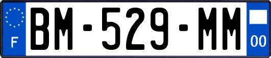 BM-529-MM