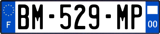 BM-529-MP