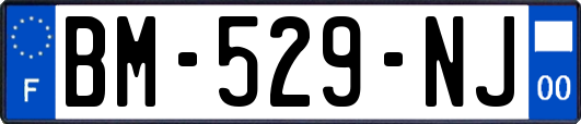 BM-529-NJ