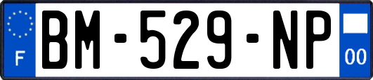 BM-529-NP