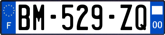 BM-529-ZQ