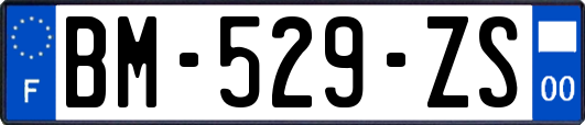 BM-529-ZS