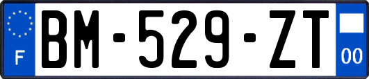 BM-529-ZT