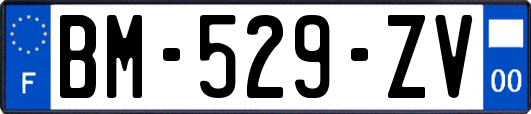 BM-529-ZV