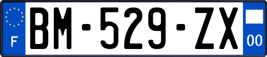 BM-529-ZX