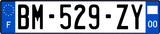 BM-529-ZY