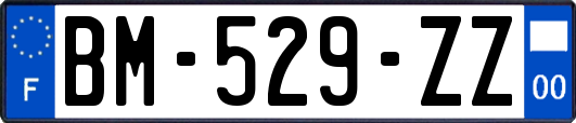 BM-529-ZZ