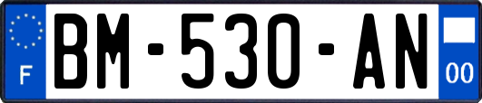 BM-530-AN