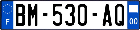 BM-530-AQ