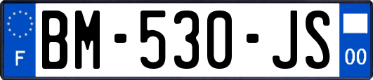 BM-530-JS
