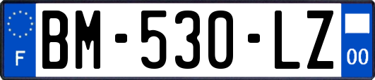 BM-530-LZ