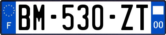 BM-530-ZT