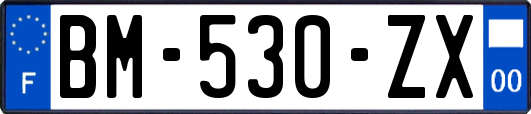 BM-530-ZX