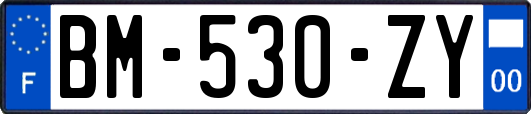 BM-530-ZY