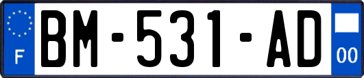 BM-531-AD