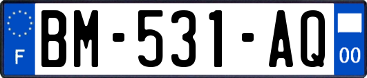 BM-531-AQ