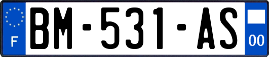 BM-531-AS