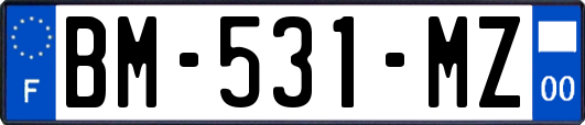 BM-531-MZ