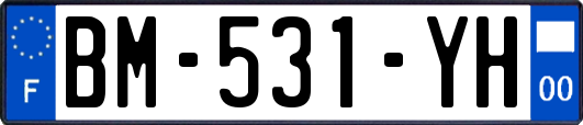 BM-531-YH