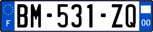 BM-531-ZQ