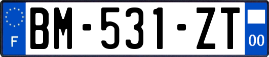 BM-531-ZT