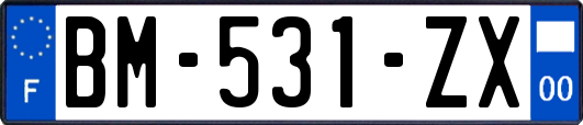 BM-531-ZX