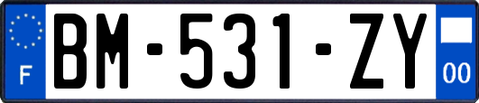 BM-531-ZY