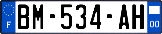 BM-534-AH