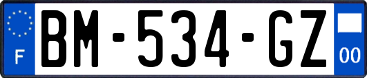 BM-534-GZ