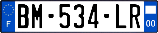BM-534-LR